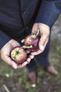 Man Holding Apples
